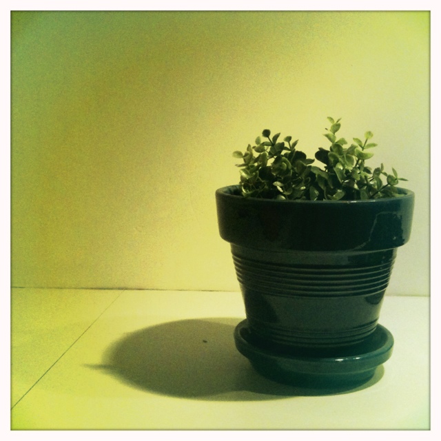 20120303-002559.jpg
