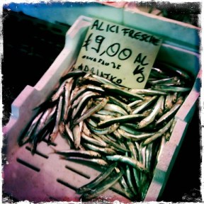 tortino di alici_.jpg