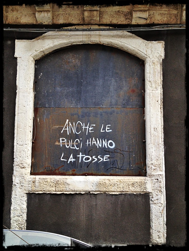 anche le pulci hanno la tosse