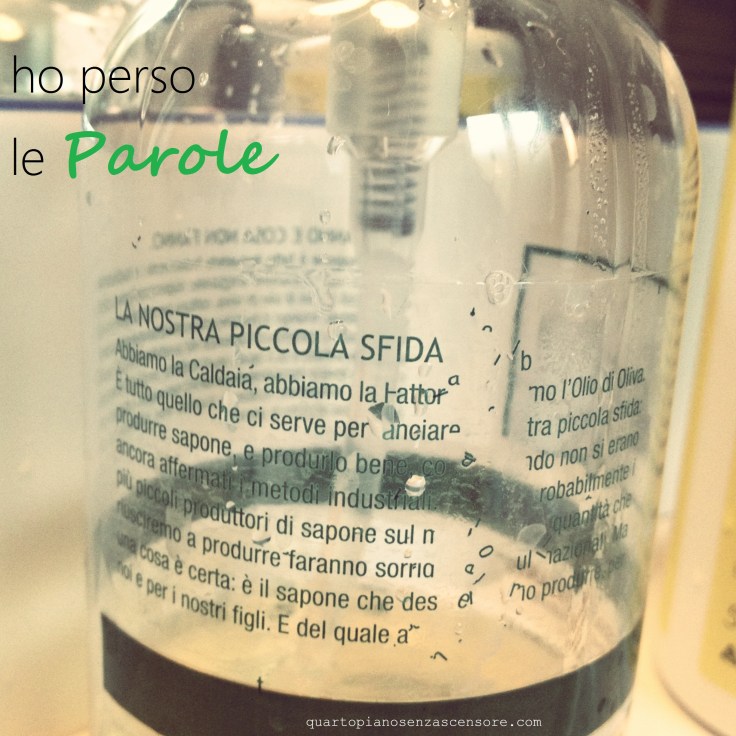 ho perso le parole